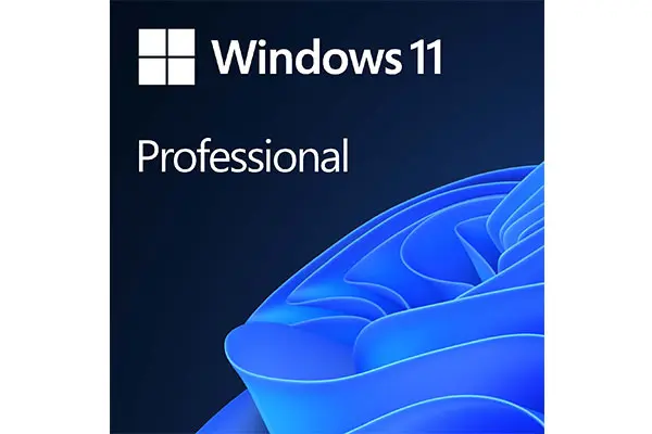 PTYTEC Computer Shop - Programa Microsoft Windows 11 Pro, ESD OEM